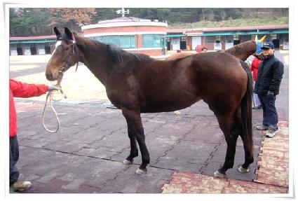 �̽�Ʈ ����