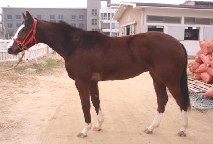 �̽����� ����