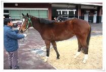 ����ġ�� (FRENCH GAL) ����