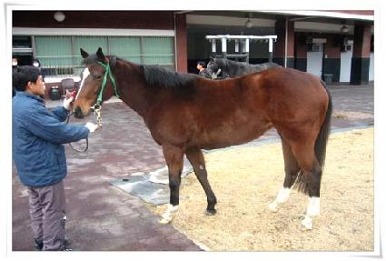 ����ġ�� ����