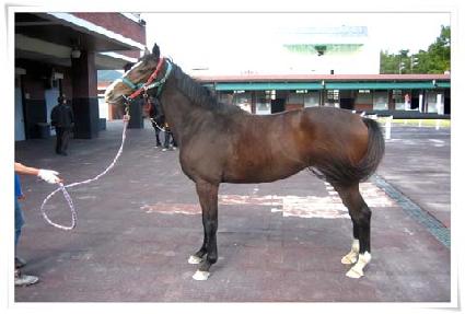 ���ȼ��� ����