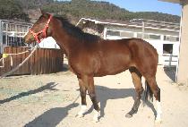 ������� (SEOBANGMIIN) ����