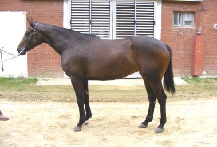 õ���� ����