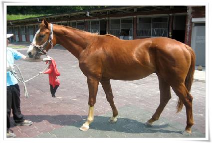 �����Ǳ��� ����