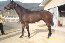 �ϳ����� (HANANJIYU) ����