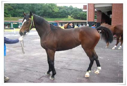 ���䰡���� ����