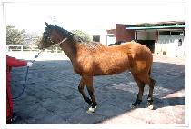 ���̽��� (BASE WANG) ����