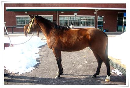 ����ҳ� ����