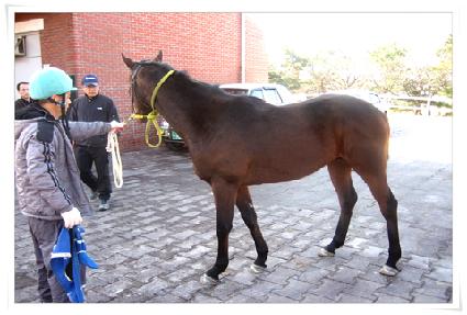 Ʈ������ ����