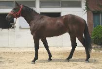 ������屺 (SINHEUNG DAEJANGUN) ����