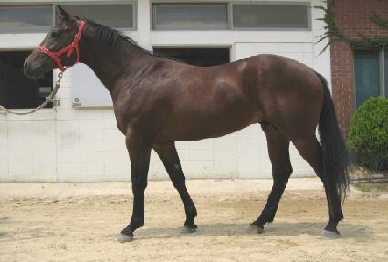 ������屺 ����