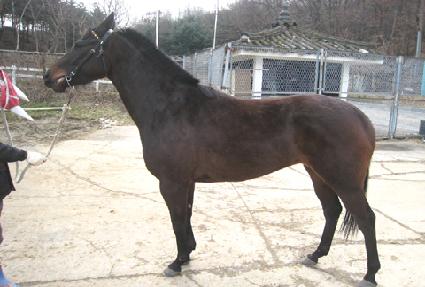 ����Ŭ���� ����