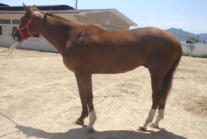 â�� ����