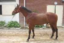 �������ϵ� (WONDER CHILD) ����