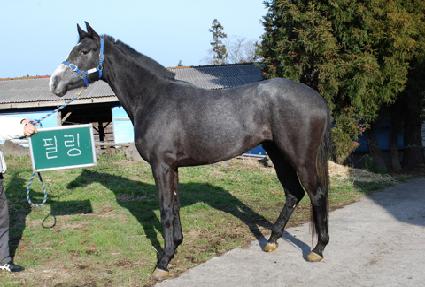 �ʸ� ����