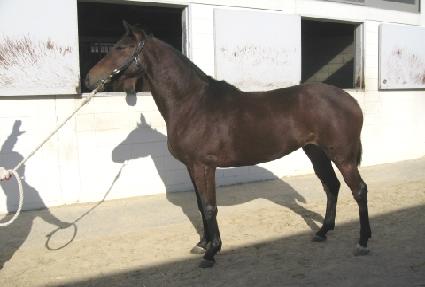 ���� ����