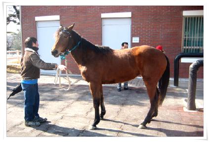 �������� ����