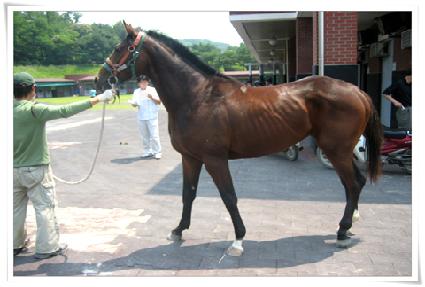 ���ø���Ƽ ����