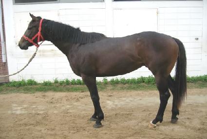 ����Ǯ���� ����