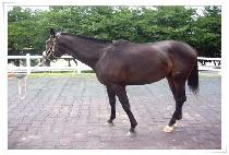 ���к� (BUHAKBONG) ����