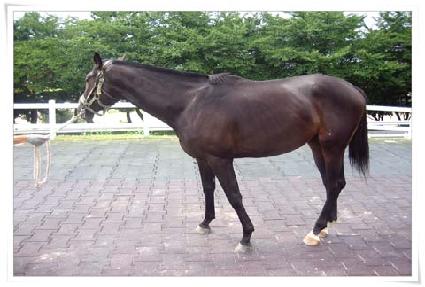 ���к� ����