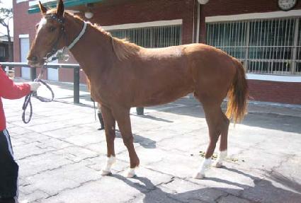 �ڹ��� ����