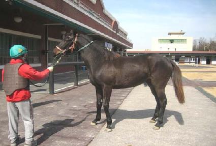 ��ĳ��Ż ����