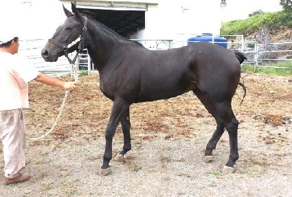 û������ ����