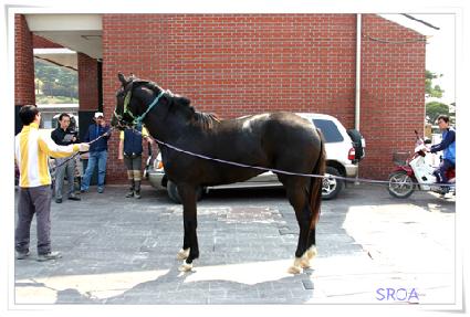 ������Ʈ���� ����