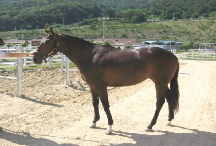 �׷������� ����