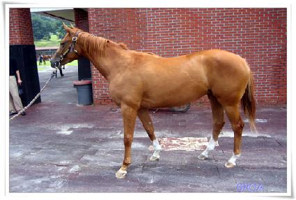 ����Ʈ�� ����