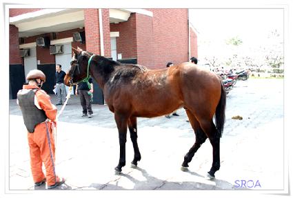 ���ѵ�� ����