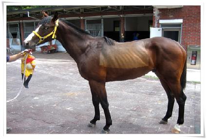 ���Ǻ��� ����