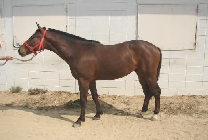 ���Ƿ��� ����