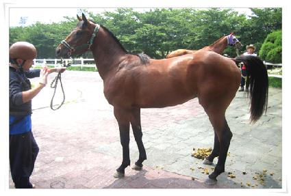 �ǽ�Ű�� ����