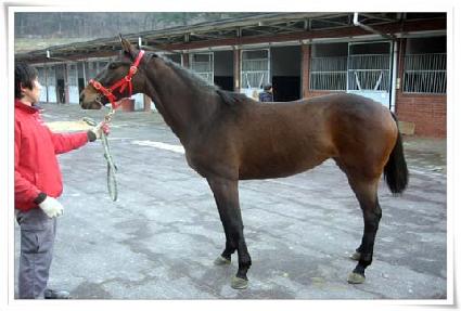 ���ֺ��� ����