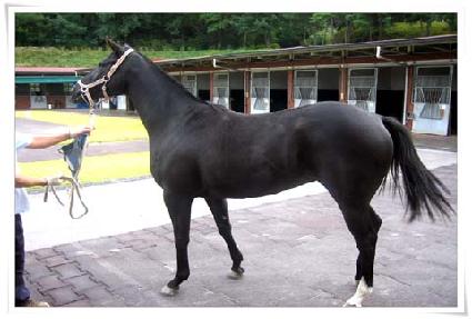 �Ϸθ��� ����