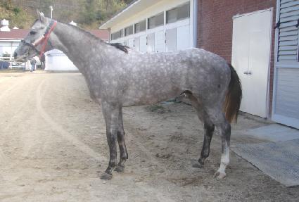 ���������� ����