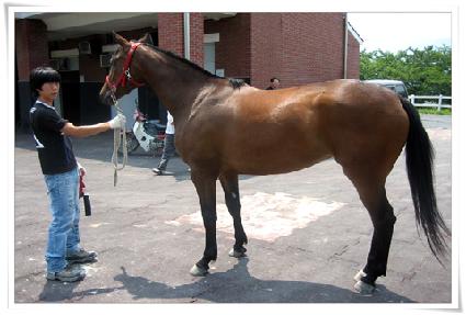 �ų��� ����