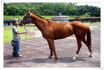 ��¸�� (USEUNGMOA) ����