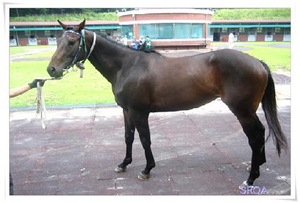 �������� ����