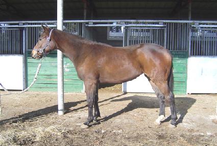 �������� ����