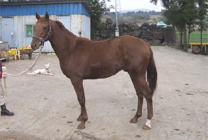 �����ս� ����