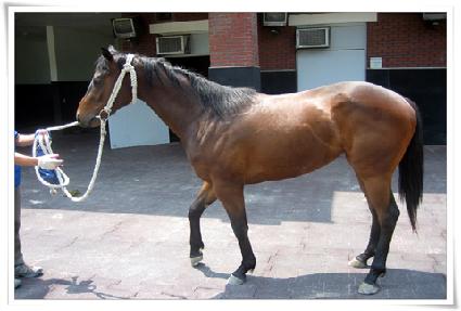 �ض��屺 ����