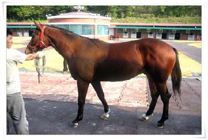 ȫ�� ����