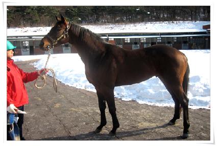 �����ũ�� ����