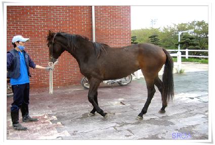 ����ϸ�� ����