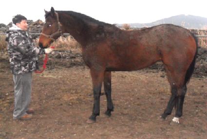 ����Ǻ� ����