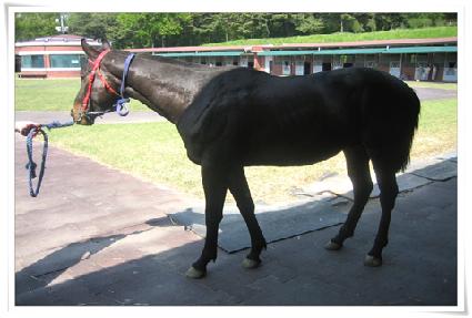 �������� ����