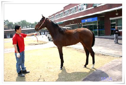 �ö������� ����